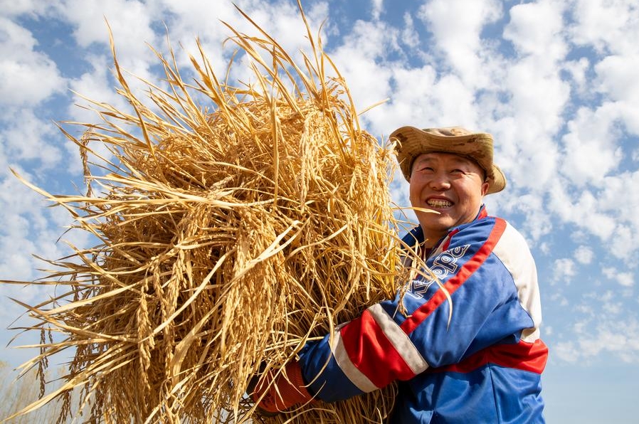 Minister: China's grain output hits new high in 2021-2025